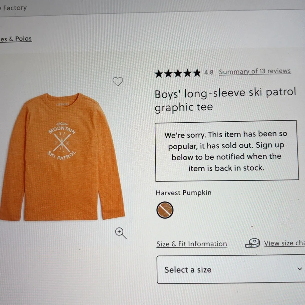 NWT J. Crew Crewcuts Stowe Mountain Ski Patrol T Shirt, 8 (Medium) - Picture 11 of 12